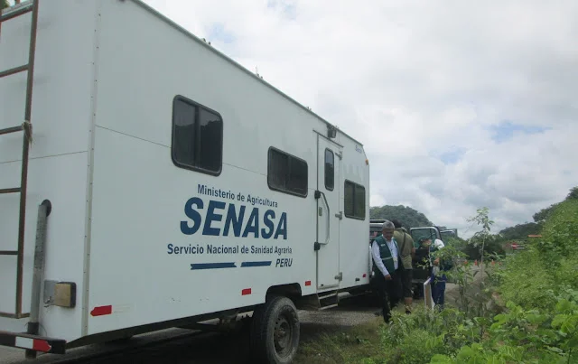 SENASA refuerza control Piura